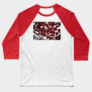 Crimson Foliage Baseball T-Shirt